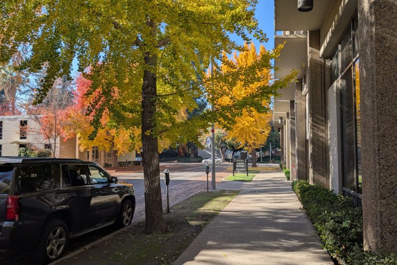 A sunlight urban sidewalk
